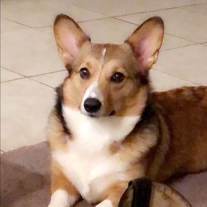 Meet your Posher, Allison